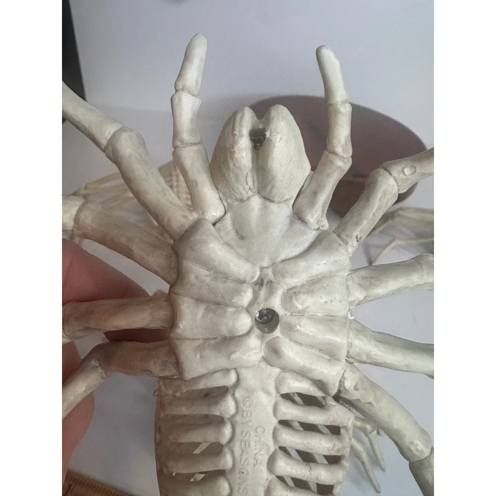 Halloween Skeleton‎ Spider Lot of 4 Creepy Skeleton Spiders Spooky Decor